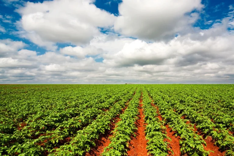 Agro Service 2000 : un réseau indépendant au service des agriculteurs