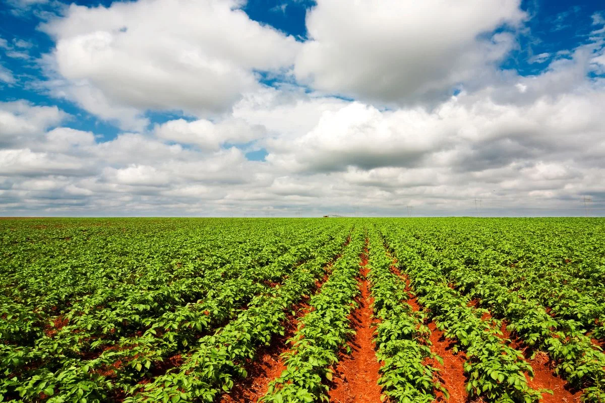 Agro Service 2000 : un réseau indépendant au service des agriculteurs