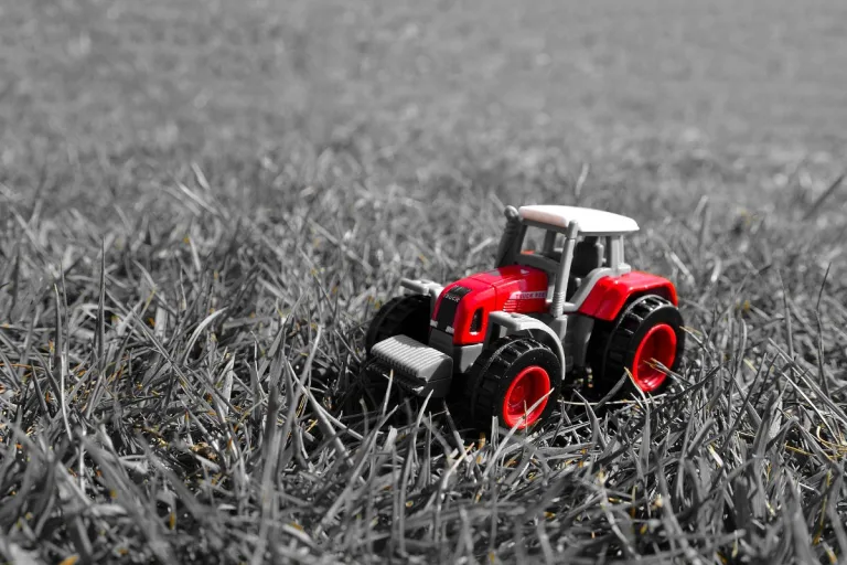 Collect World : Le paradis des passionnés de miniatures automobiles et agricoles