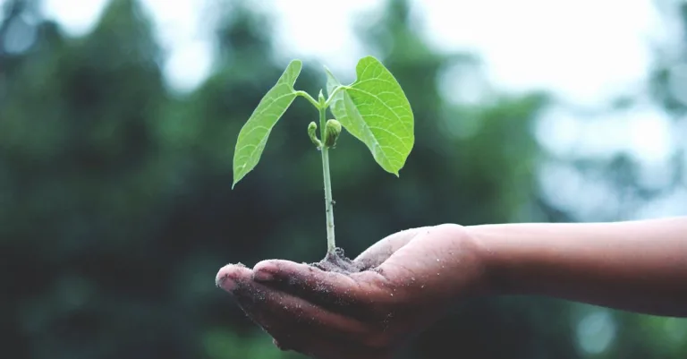 Invitation Salon Agriculture gratuite à imprimer 2026 : Comment obtenir la vôtre facilement