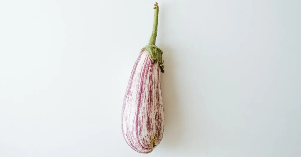 découvrez tout sur l'aubergine : ses bienfaits pour la santé, des recettes délicieuses et des astuces pour la cuisiner. apprenez à intégrer ce légume savoureux dans vos plats pour une alimentation équilibrée.