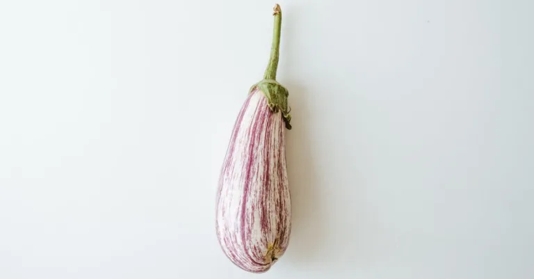 Peut-on garder un pied d’aubergine d’une année sur l’autre ?